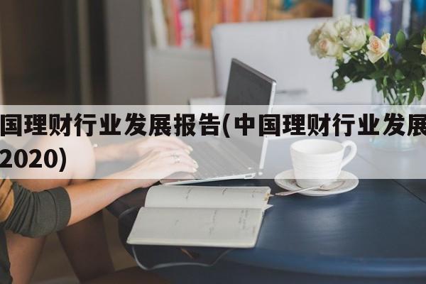 中国理财行业发展报告(中国理财行业发展报告2020)